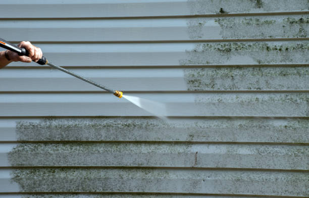 Best Window and Screen Pressure Cleaning in Harvard, IL
